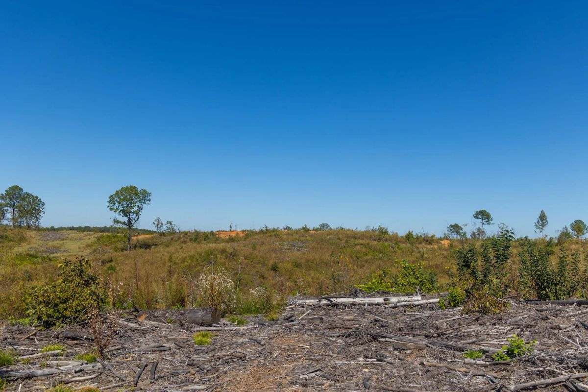 Decorative background for Meyer’s Ridge Tract 43 image 9