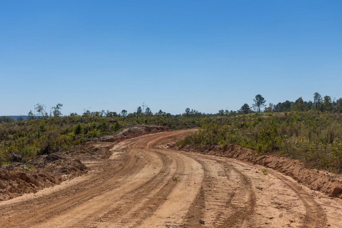 Decorative background for Meyer’s Ridge Tract 43 image 11