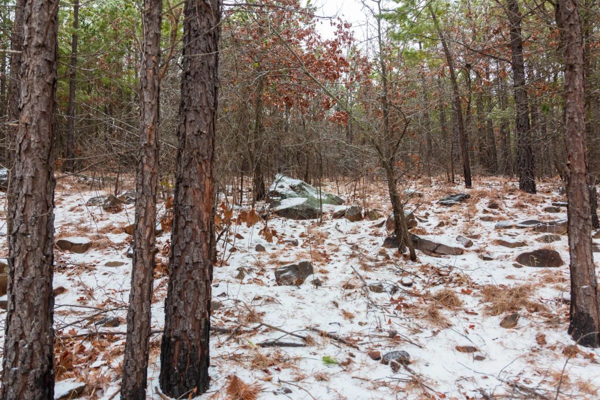 Decorative background for Stone Bridge Phase IV Tract 236 image 7