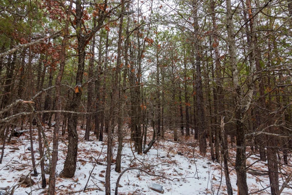 Decorative background for Stone Bridge Phase IV Tract 236 image 9