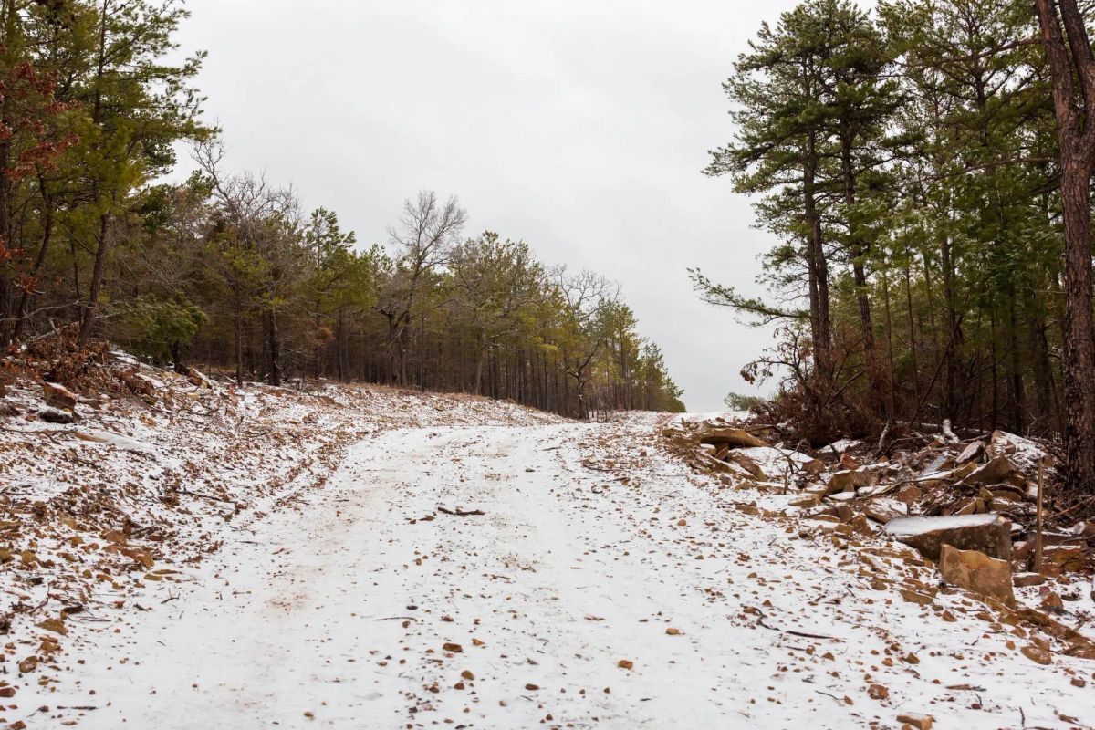 Decorative background for Stone Bridge Phase IV Tract 236 image 10