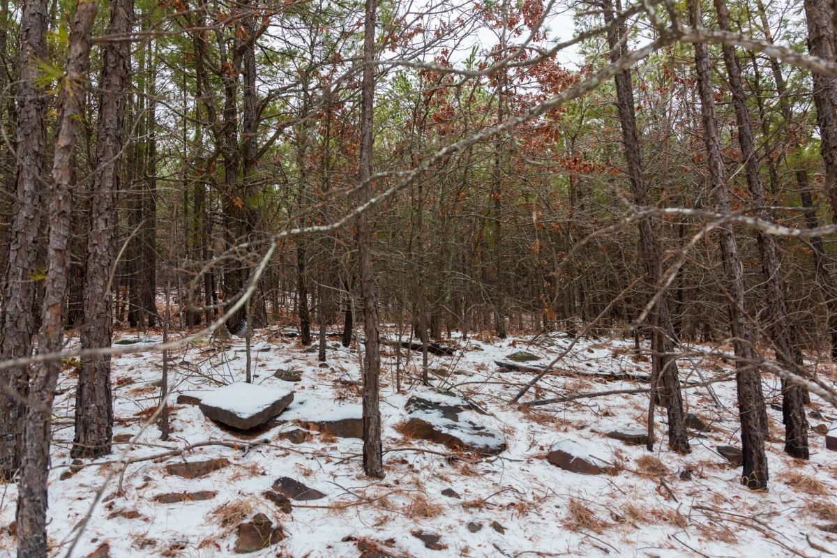 Decorative background for Stone Bridge Phase IV Tract 236 image 13