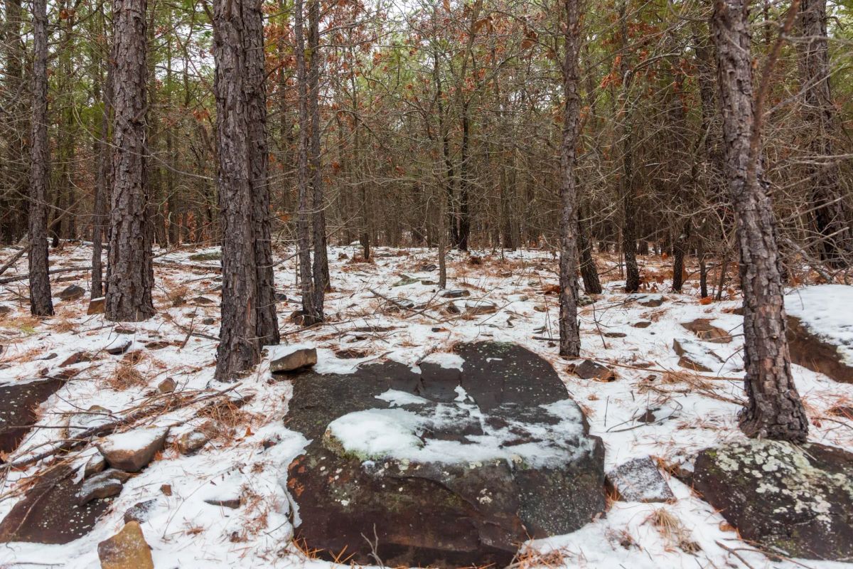 Decorative background for Stone Bridge Phase IV Tract 236 image 14
