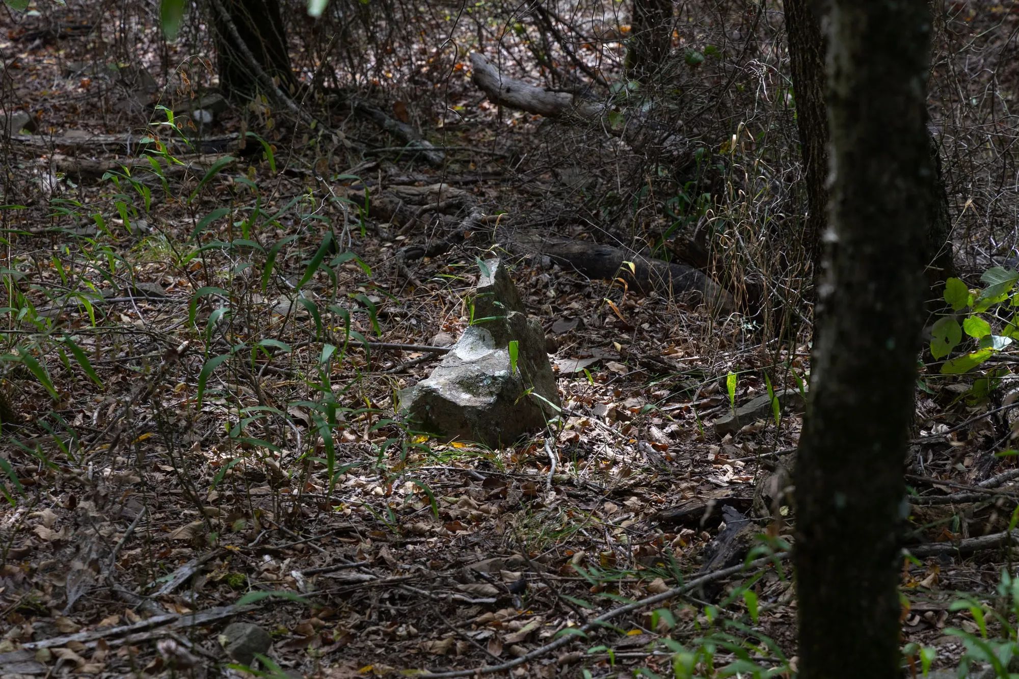 Reserves At Cattail Cove Phase II Tract 56 in Pittsburg County, OK