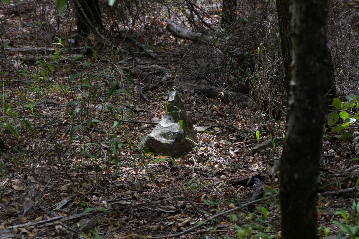 Reserves At Cattail Cove Phase II Tract 56 - Image 3
