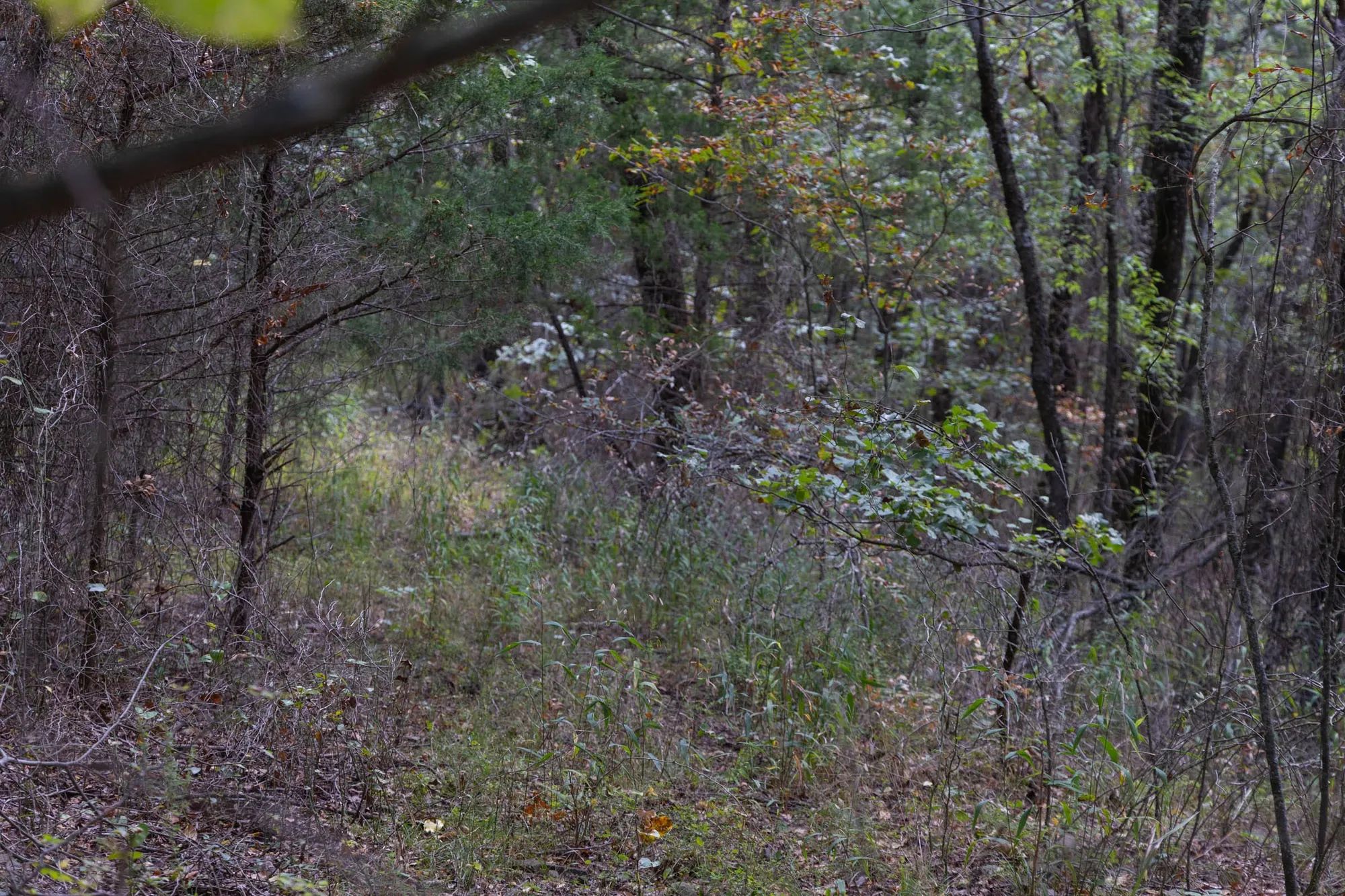 Reserves At Cattail Cove Phase II Tract 56 in Pittsburg County, OK