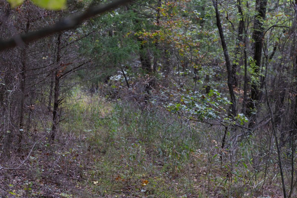 Reserves At Cattail Cove Phase II Tract 56 - Image 4