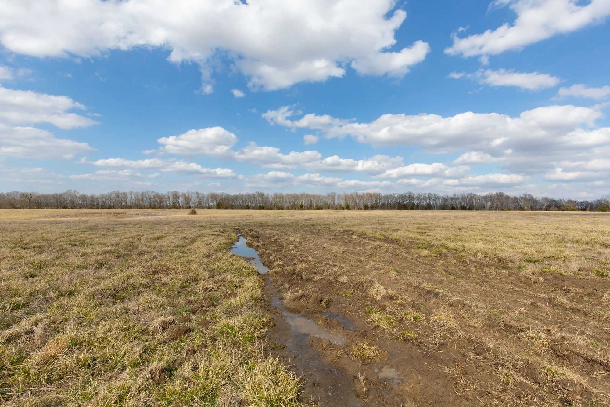 Wishing Star Ranch Tract 39 in Red River County, TX