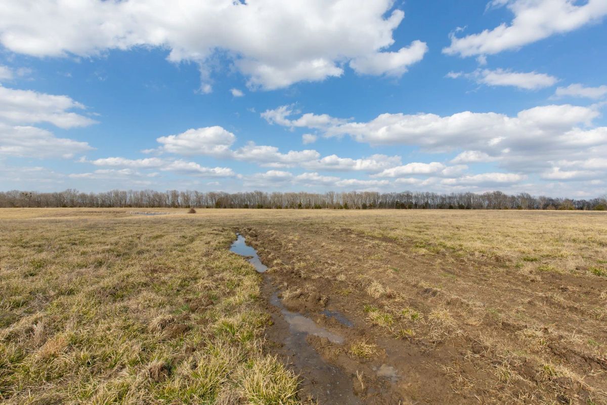Wishing Star Ranch Tract 39 - Main image