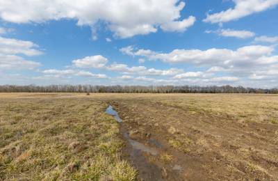 Wishing Star Ranch Tract 39