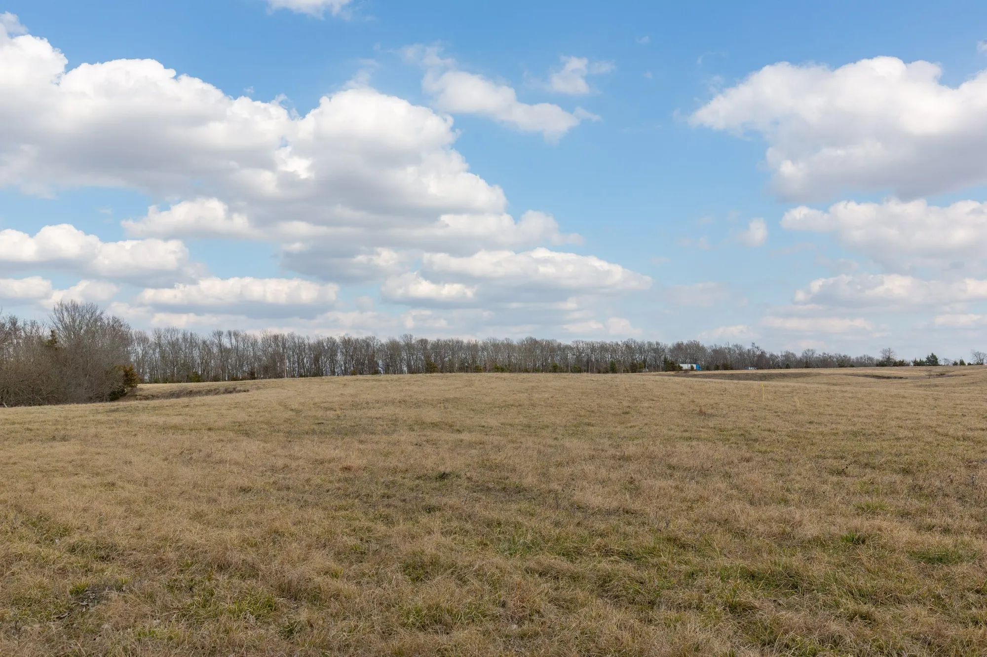 Wishing Star Ranch Tract 39 in Red River County, TX