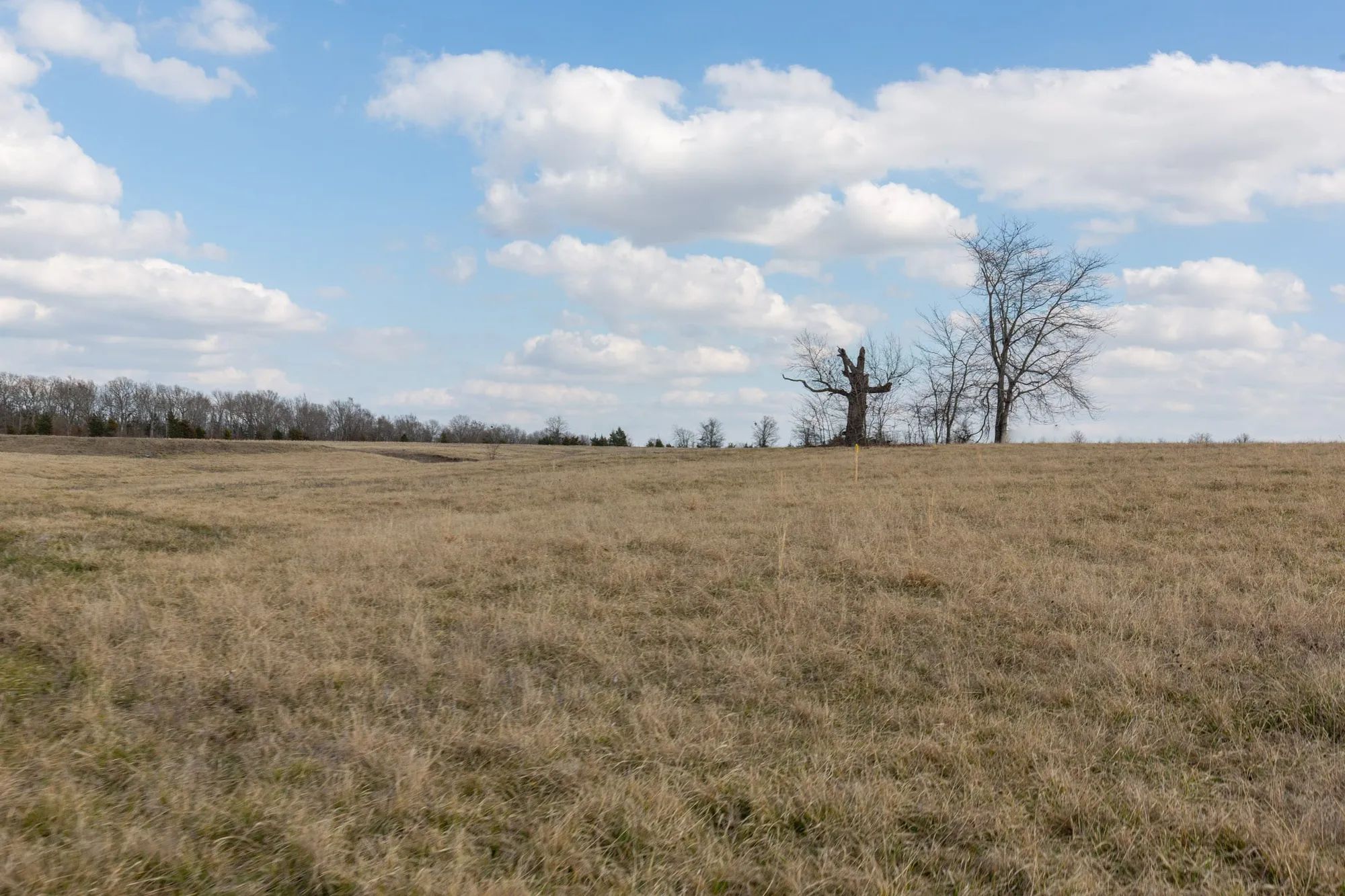Wishing Star Ranch Tract 39 in Red River County, TX