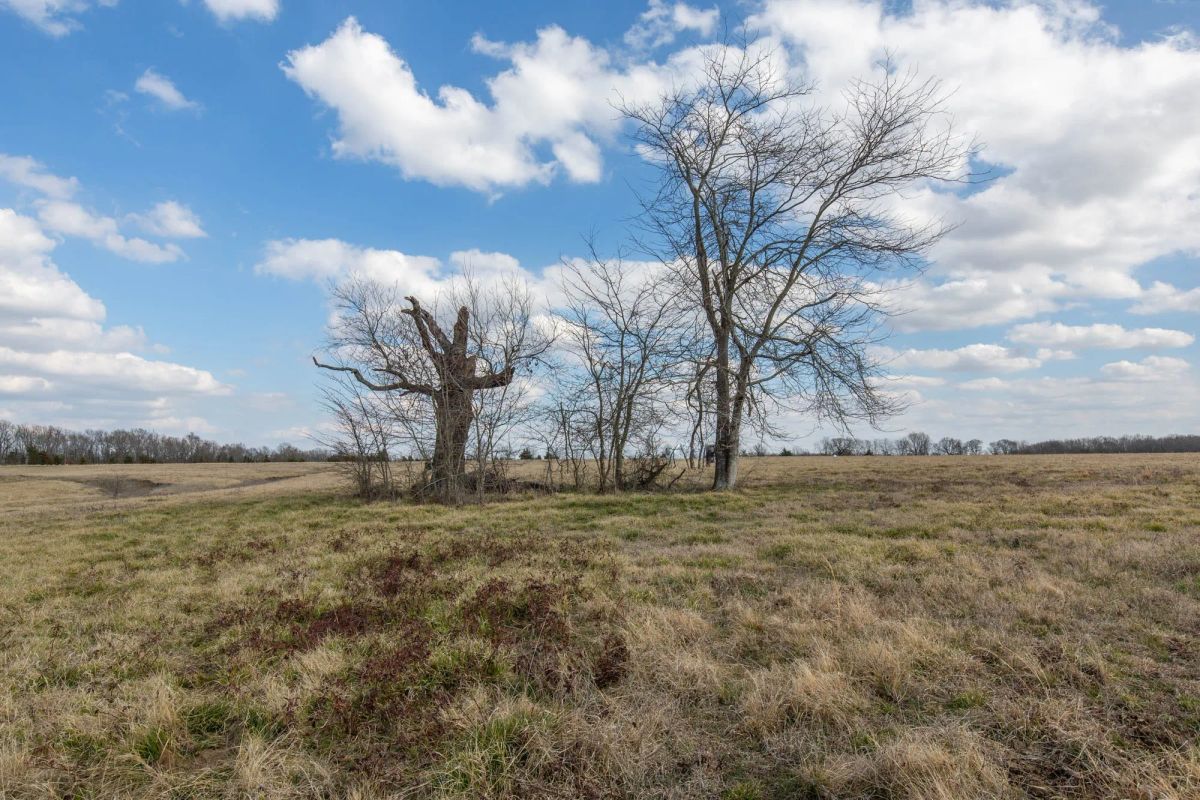 Decorative background for Wishing Star Ranch Tract 39 image 5