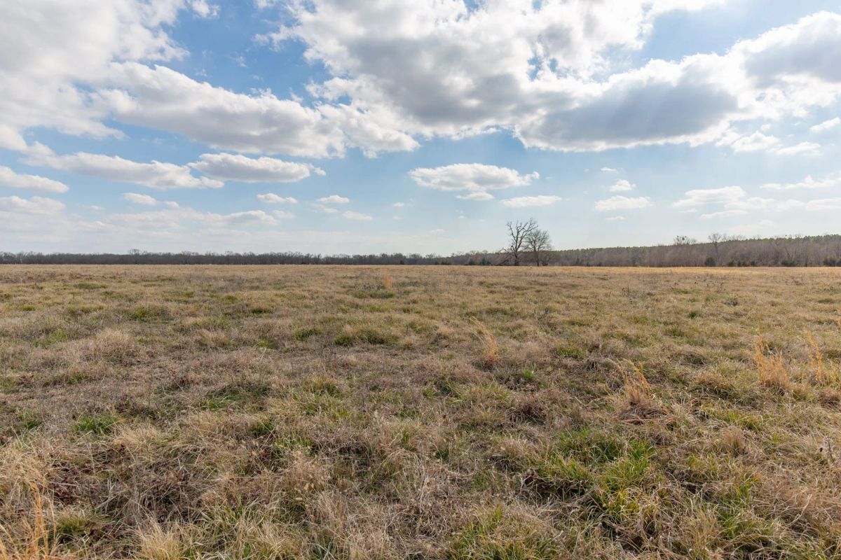 Decorative background for Wishing Star Ranch Tract 39 image 6