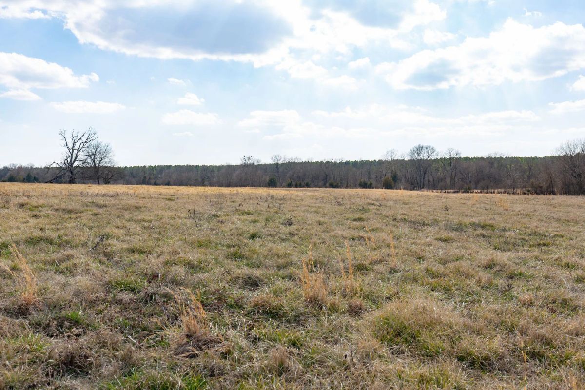 Decorative background for Wishing Star Ranch Tract 39 image 7