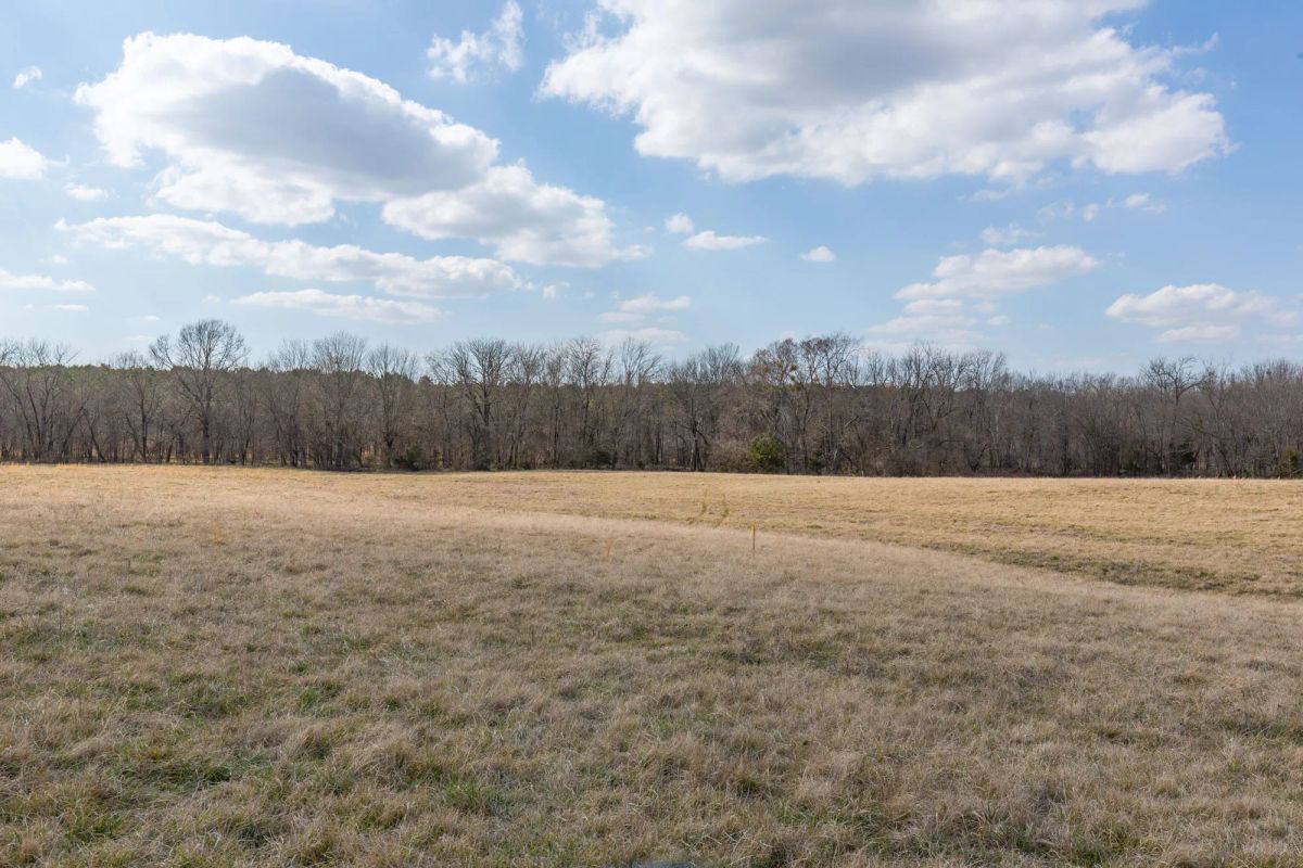 Decorative background for Wishing Star Ranch Tract 39 image 8