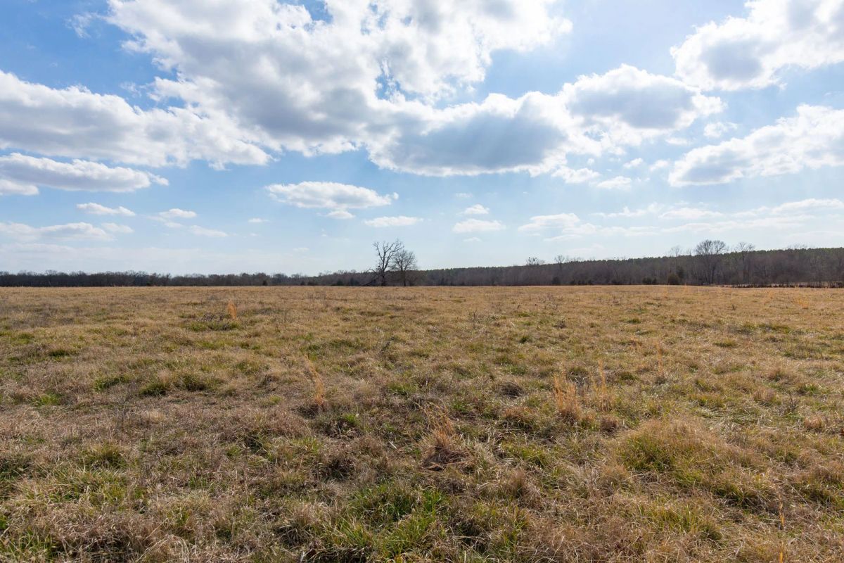 Decorative background for Wishing Star Ranch Tract 39 image 9