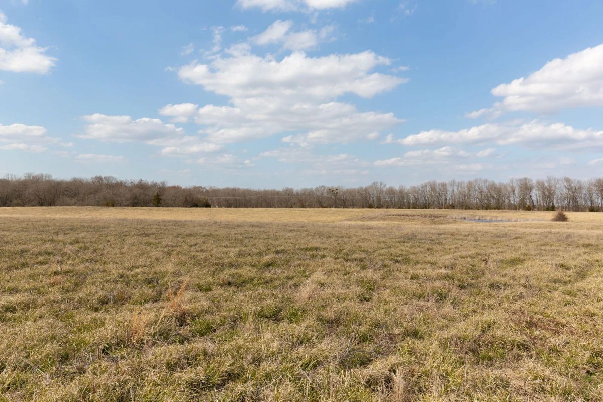 Decorative background for Wishing Star Ranch Tract 39 image 10