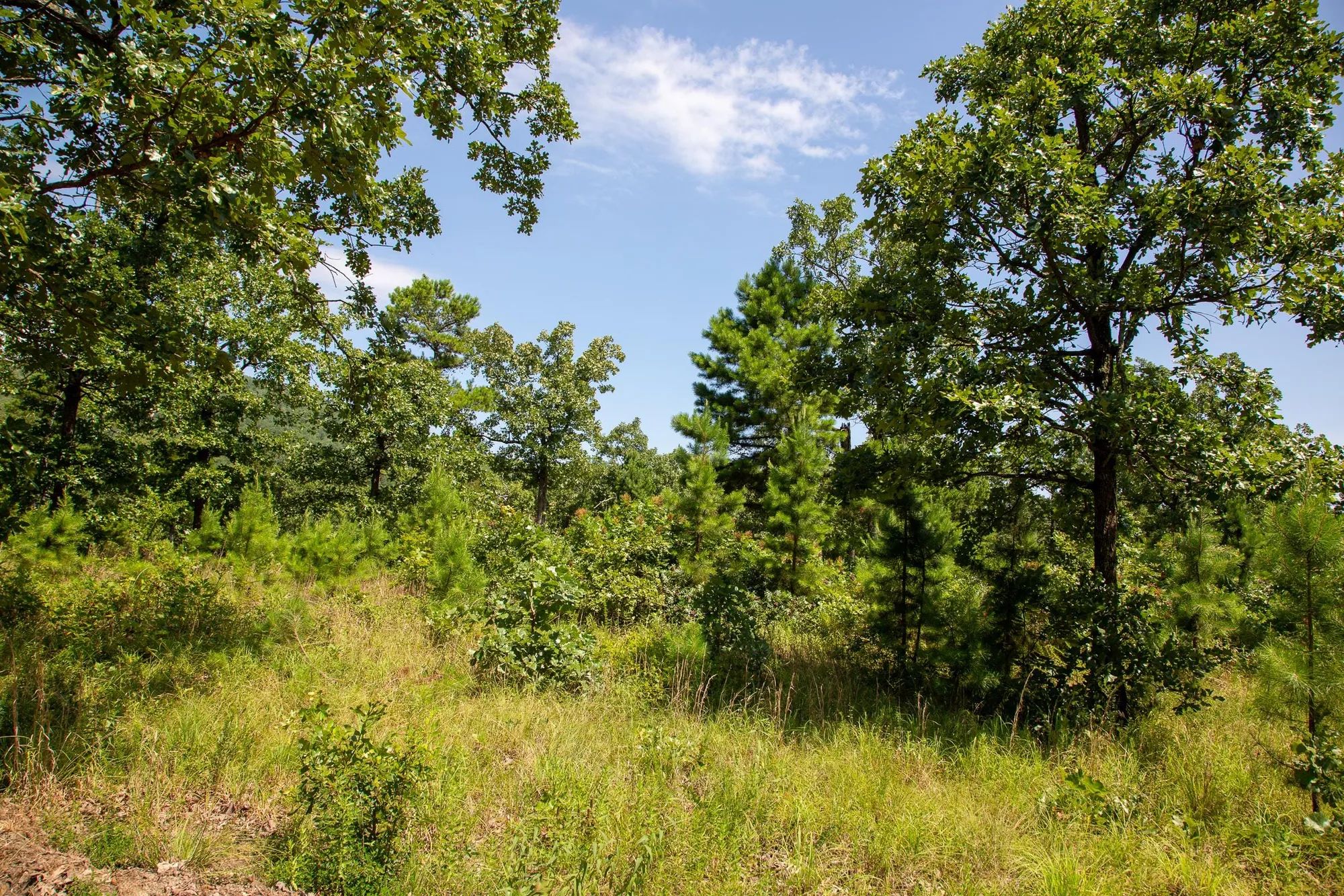 Tyler Stone Ranch Tract 40 in Le Flore County, OK