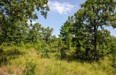 Tyler Stone Ranch Tract 40