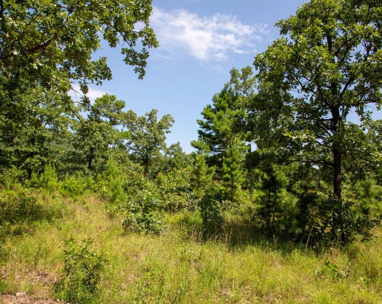 Tyler Stone Ranch Tract 40 in Le Flore County, OK