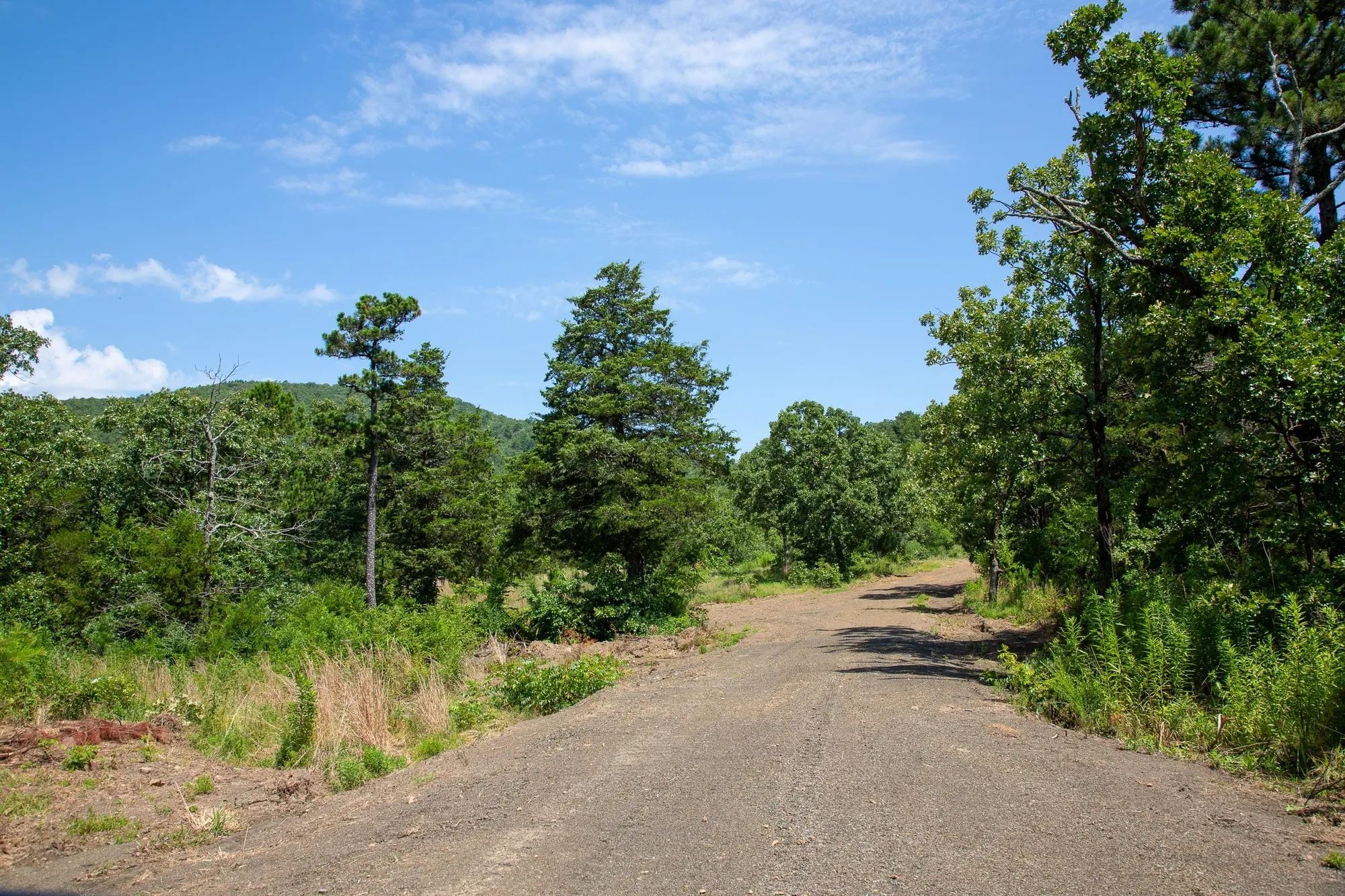 Tyler Stone Ranch Tract 40 in Le Flore County, OK