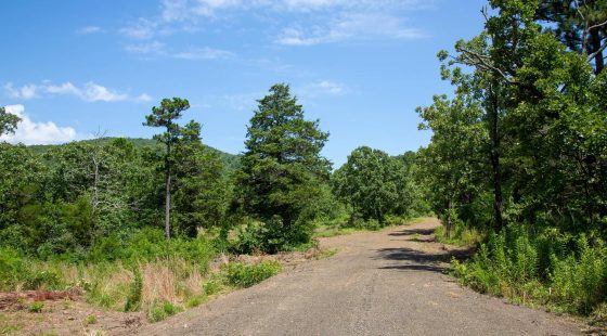 Tyler Stone Ranch Tract 40 in Le Flore County, OK