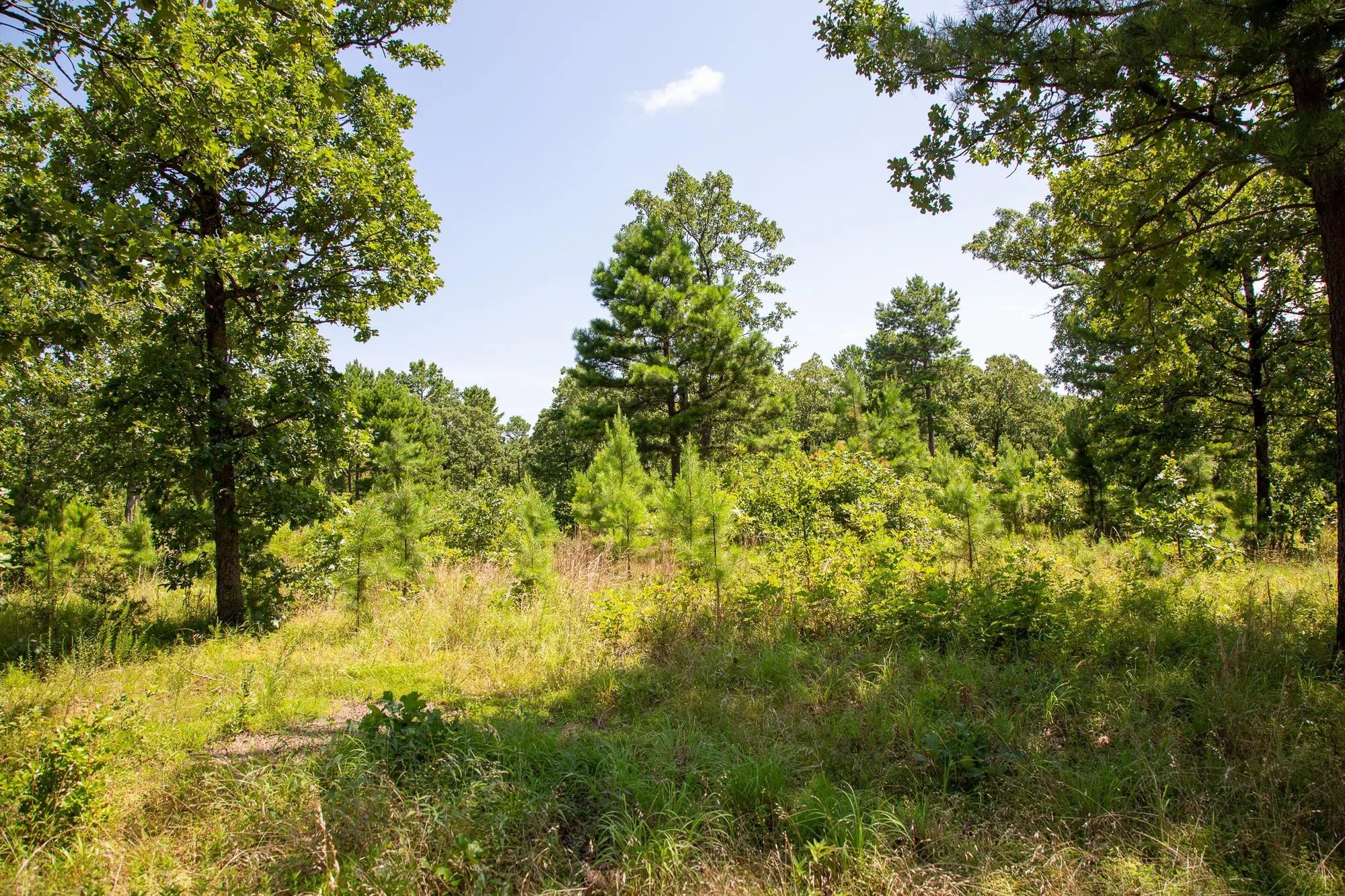 Tyler Stone Ranch Tract 40 in Le Flore County, OK