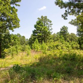 Tyler Stone Ranch Tract 40 in Le Flore County, OK
