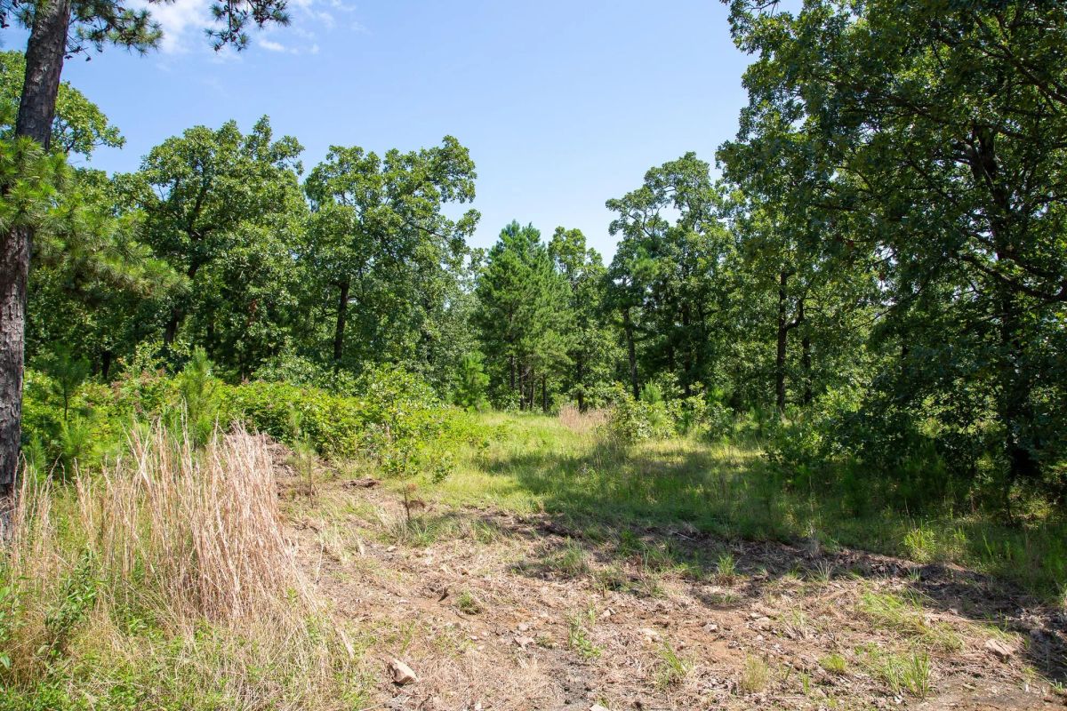 Decorative background for Tyler Stone Ranch Tract 40 image 6