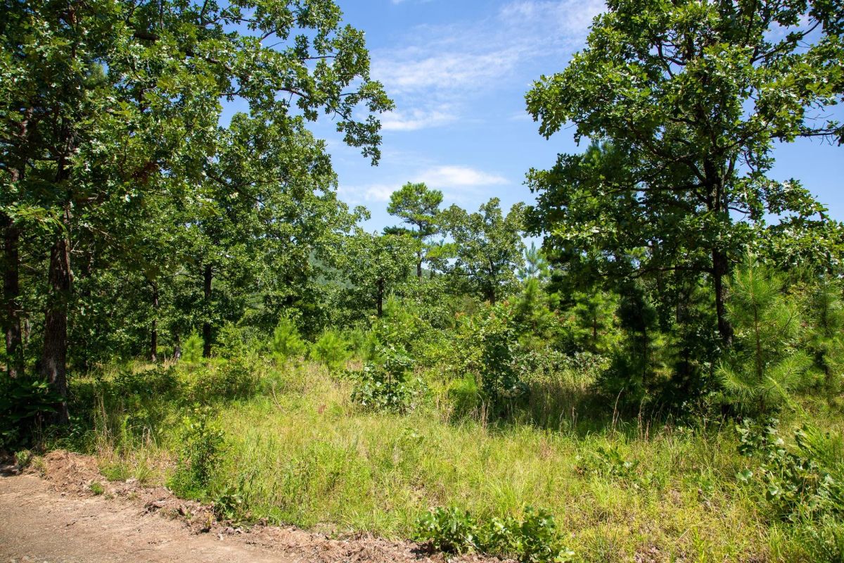 Decorative background for Tyler Stone Ranch Tract 40 image 8