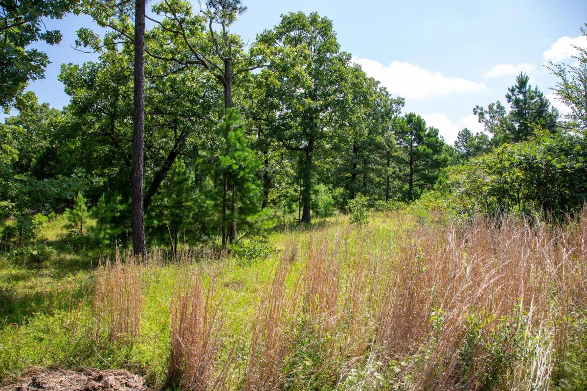 Decorative background for Tyler Stone Ranch Tract 40 image 11