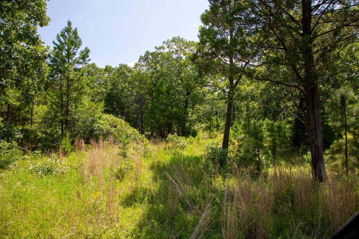 Decorative background for Tyler Stone Ranch Tract 40 image 12