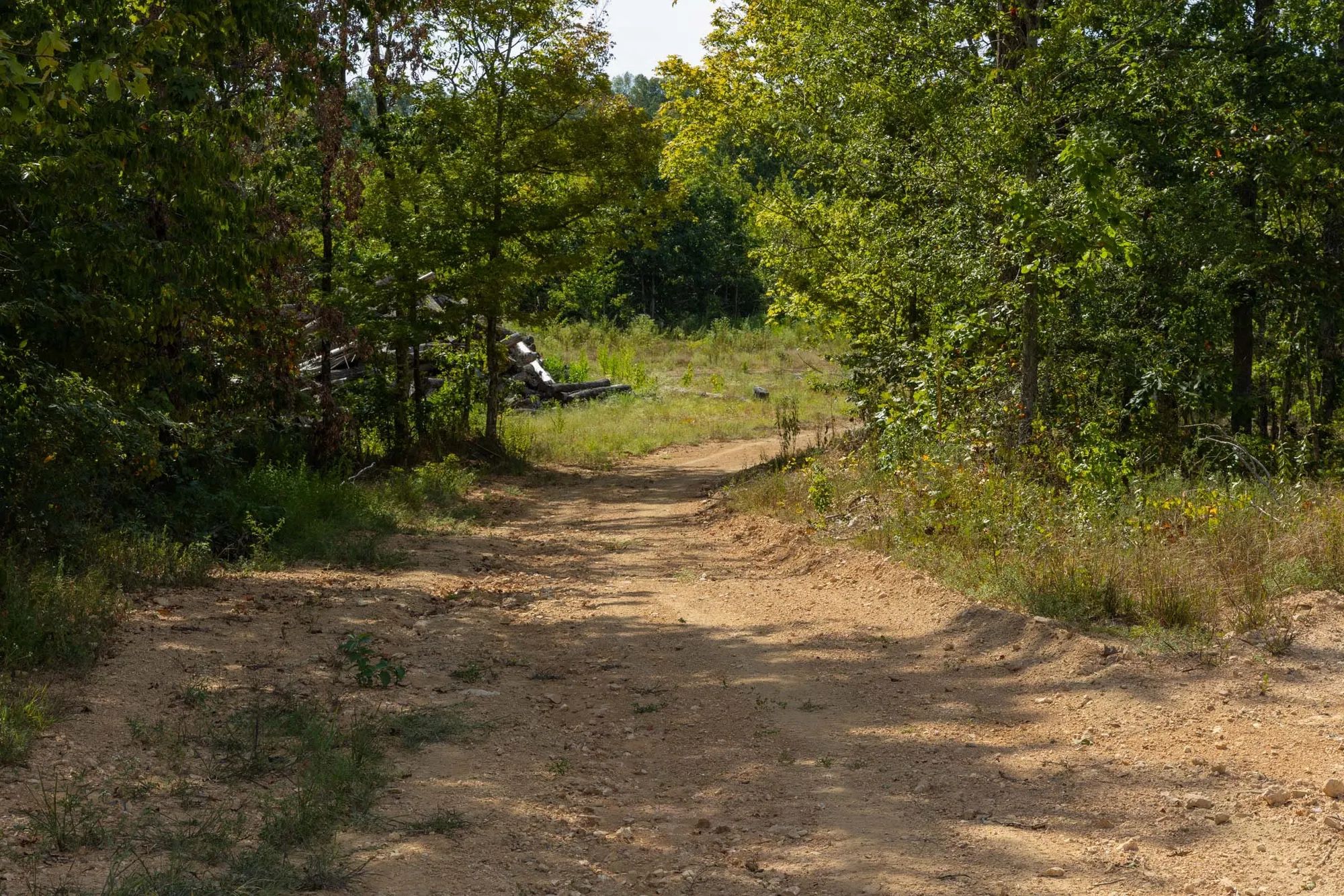 Big White Oak Tract 69 in Perry County, TN