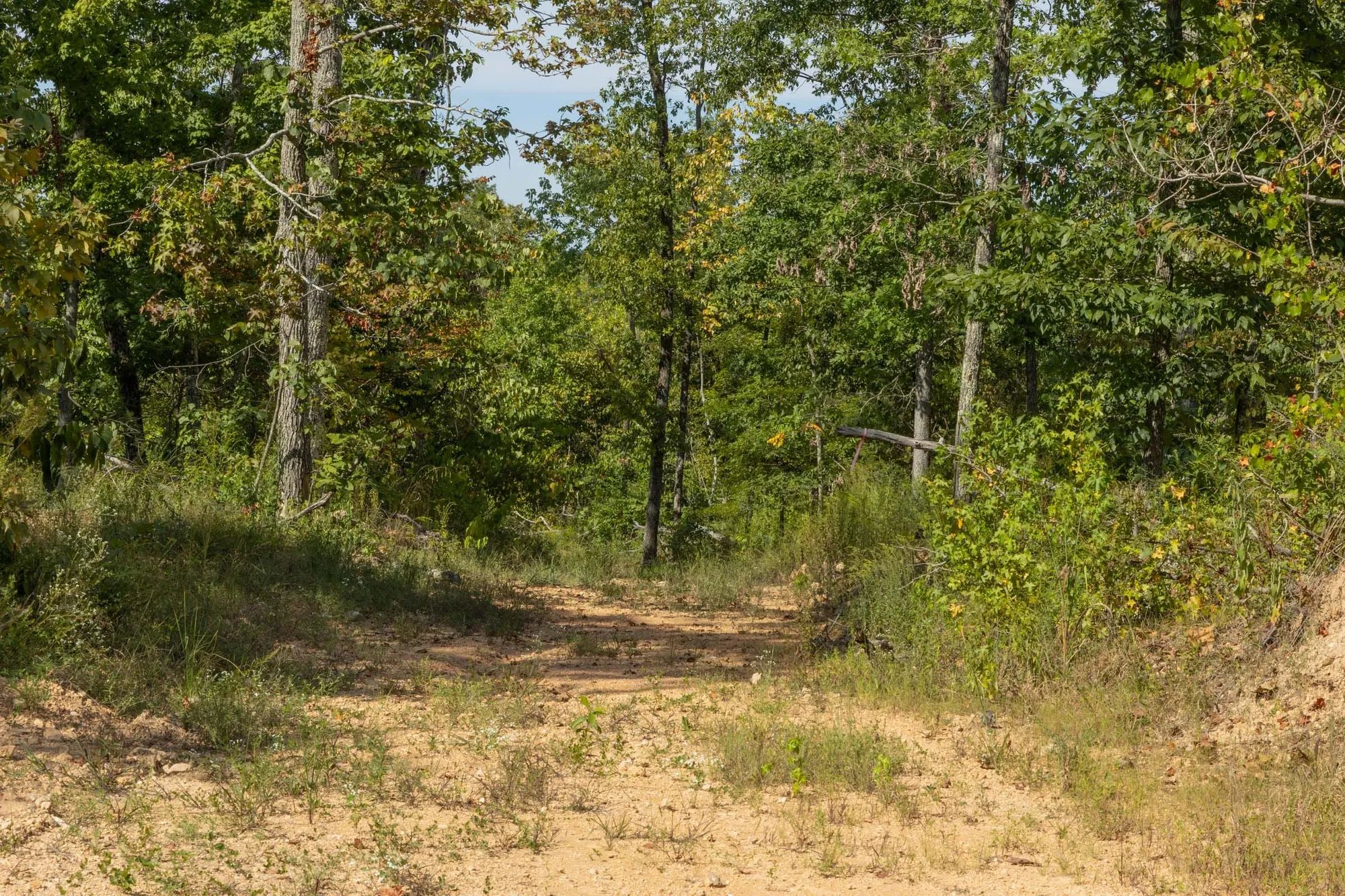 Big White Oak Tract 69 in Perry County, TN