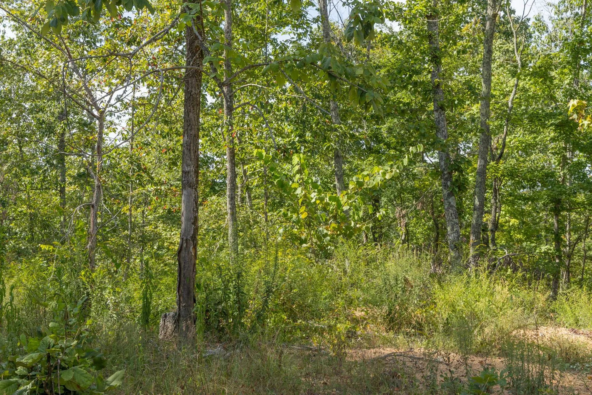 Big White Oak Tract 69 in Perry County, TN