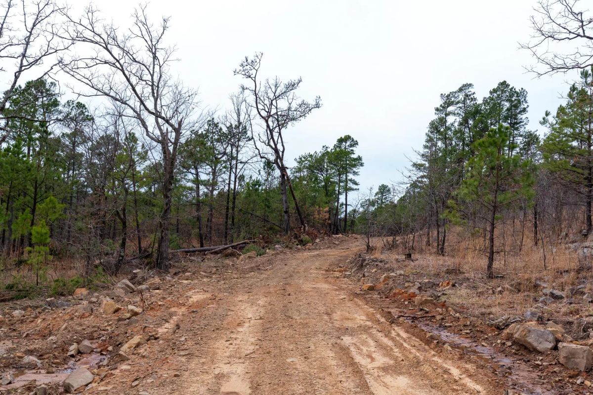 Stone Bridge Phase III Tract 139 - Main image
