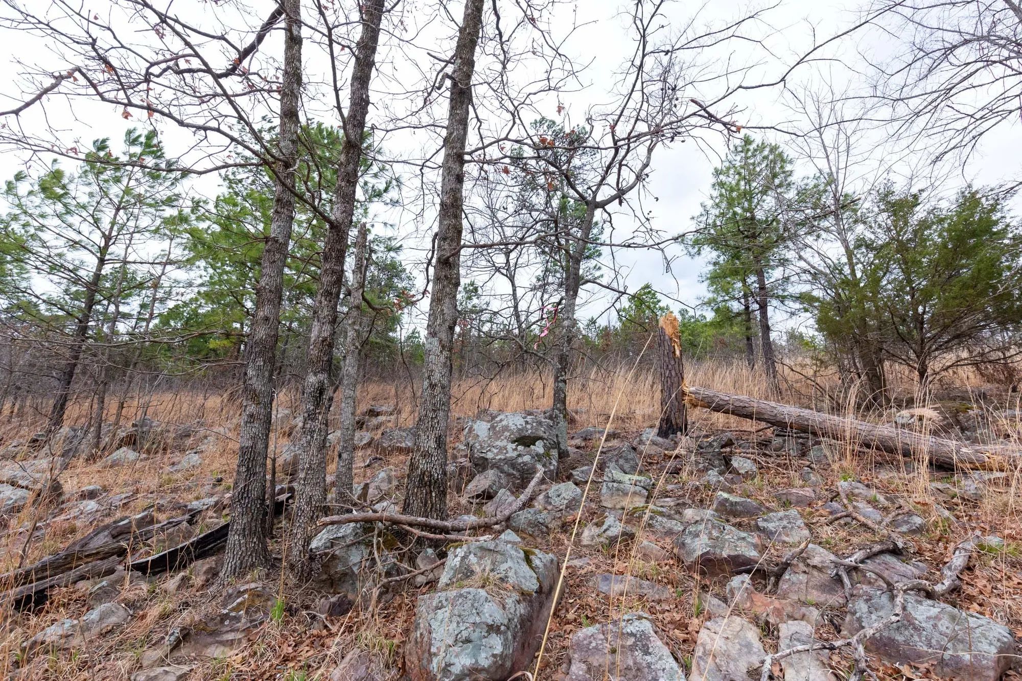 Stone Bridge Phase III Tract 139 in Latimer County, OK