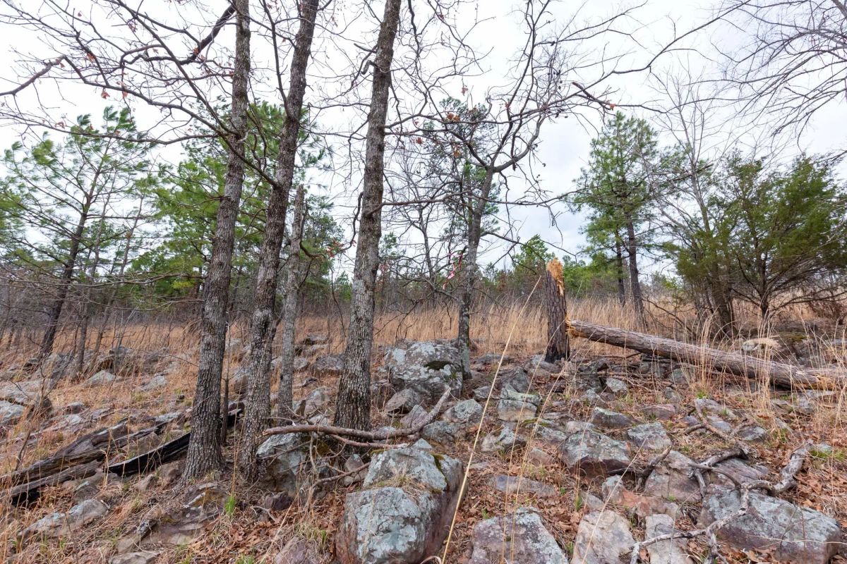 Stone Bridge Phase III Tract 139 - Image 2