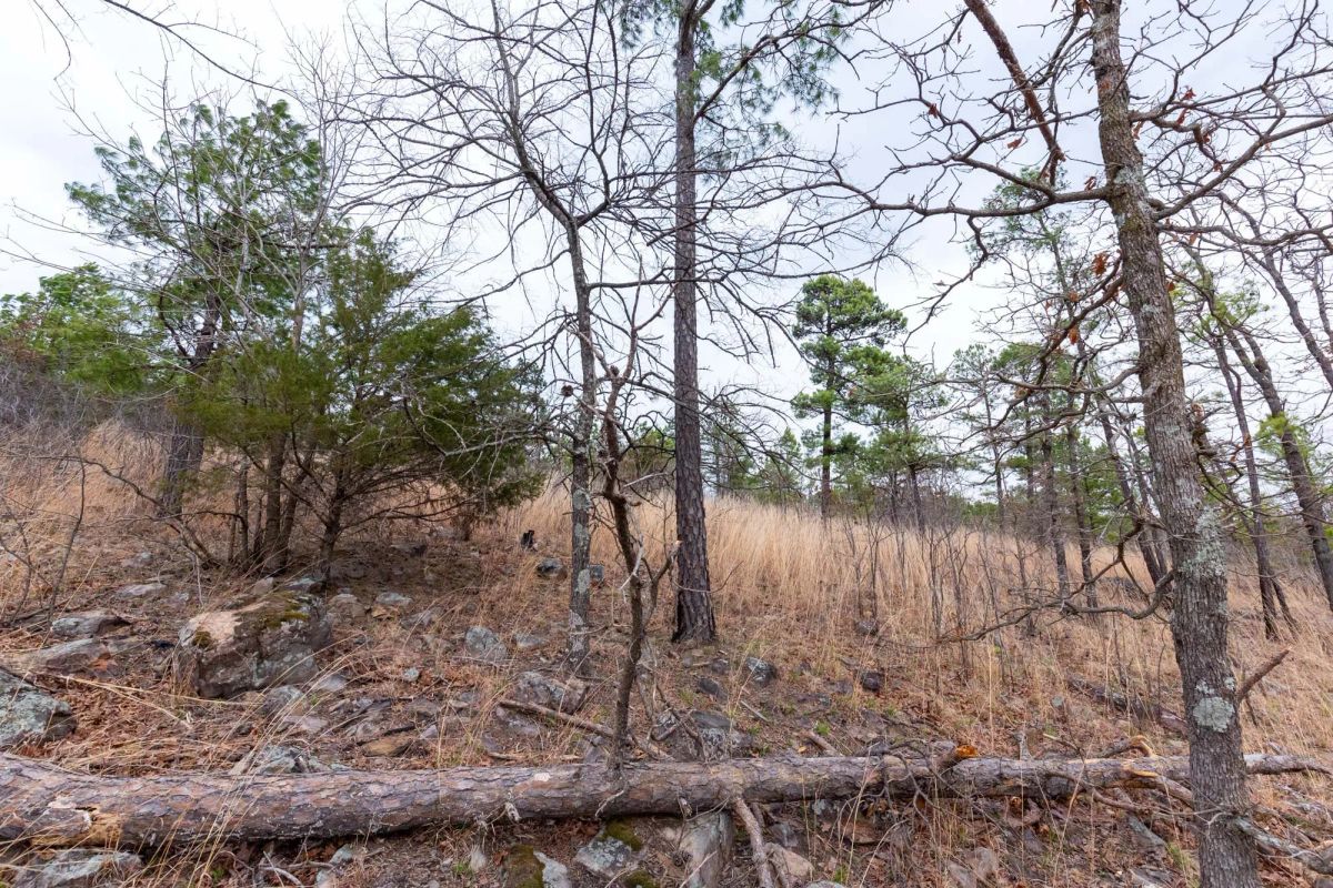 Stone Bridge Phase III Tract 139 - Image 3