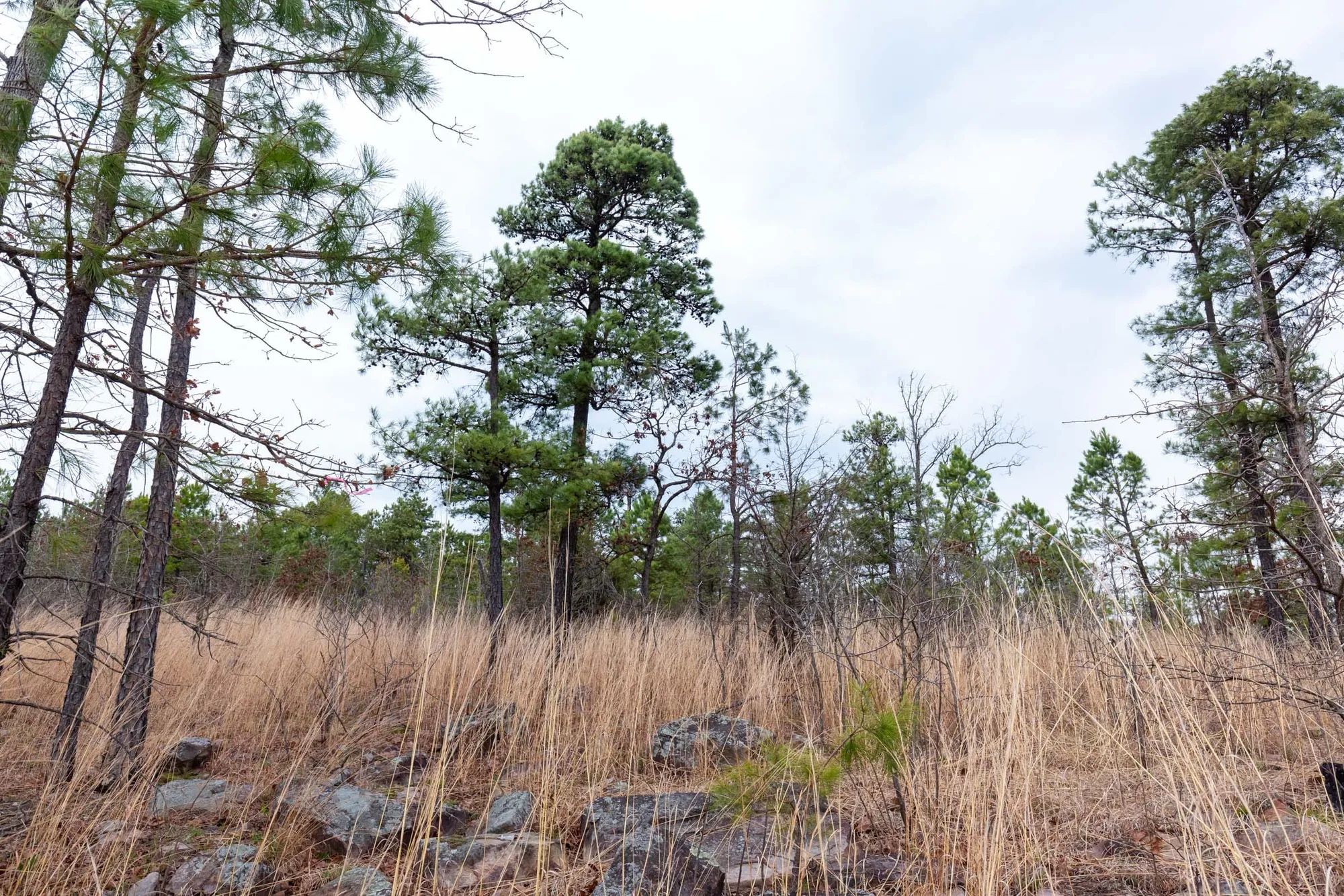 Stone Bridge Phase III Tract 139 in Latimer County, OK