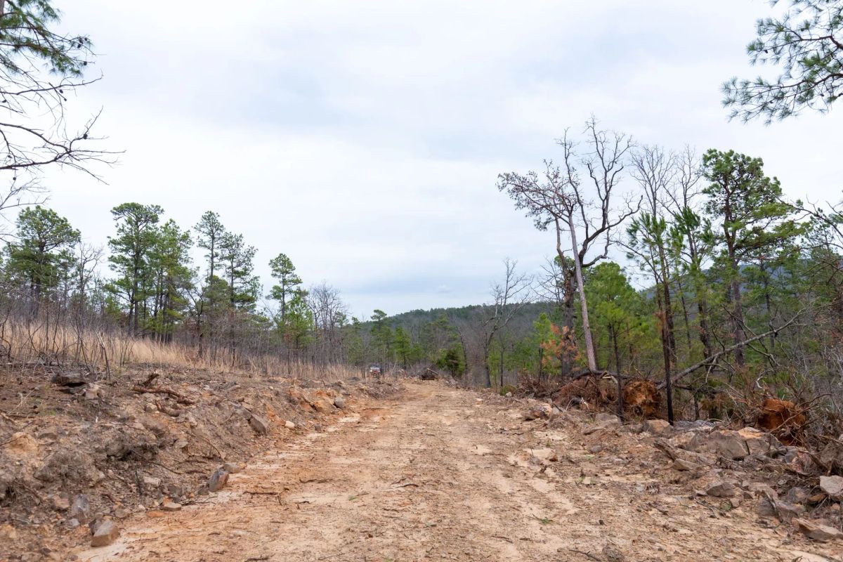 Decorative background for Stone Bridge Phase III Tract 139 image 7