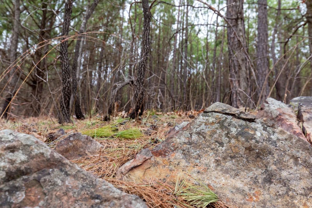Decorative background for Stone Bridge Phase III Tract 139 image 8