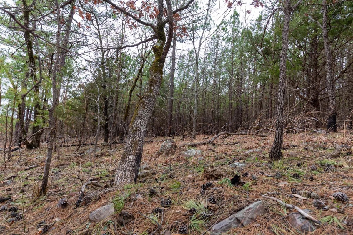 Decorative background for Stone Bridge Phase III Tract 139 image 9