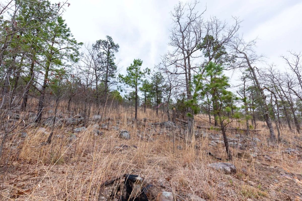 Decorative background for Stone Bridge Phase III Tract 139 image 11
