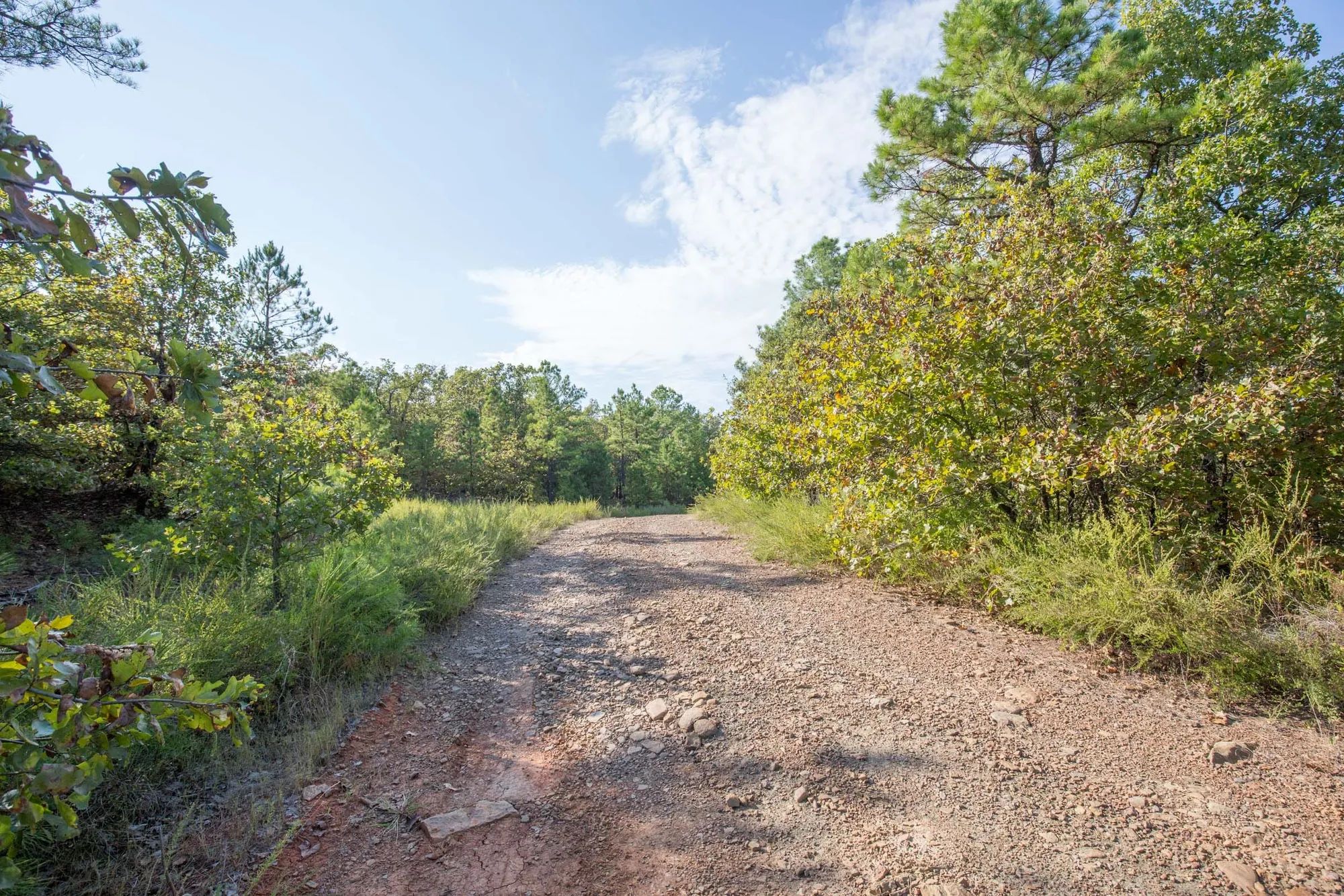 Stone Bridge Phase I Tract 55