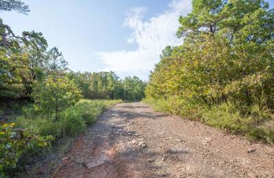 Stone Bridge Phase I Tract 55