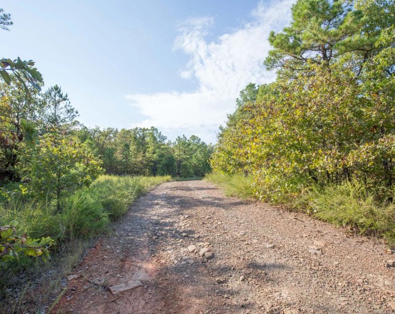 Stone Bridge Phase I Tract 55 in Haskell County, OK
