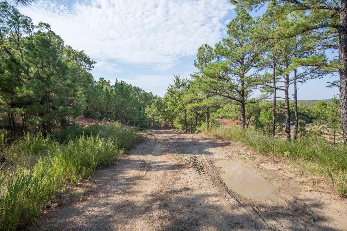 Decorative background for Stone Bridge Phase I Tract 55 image 6