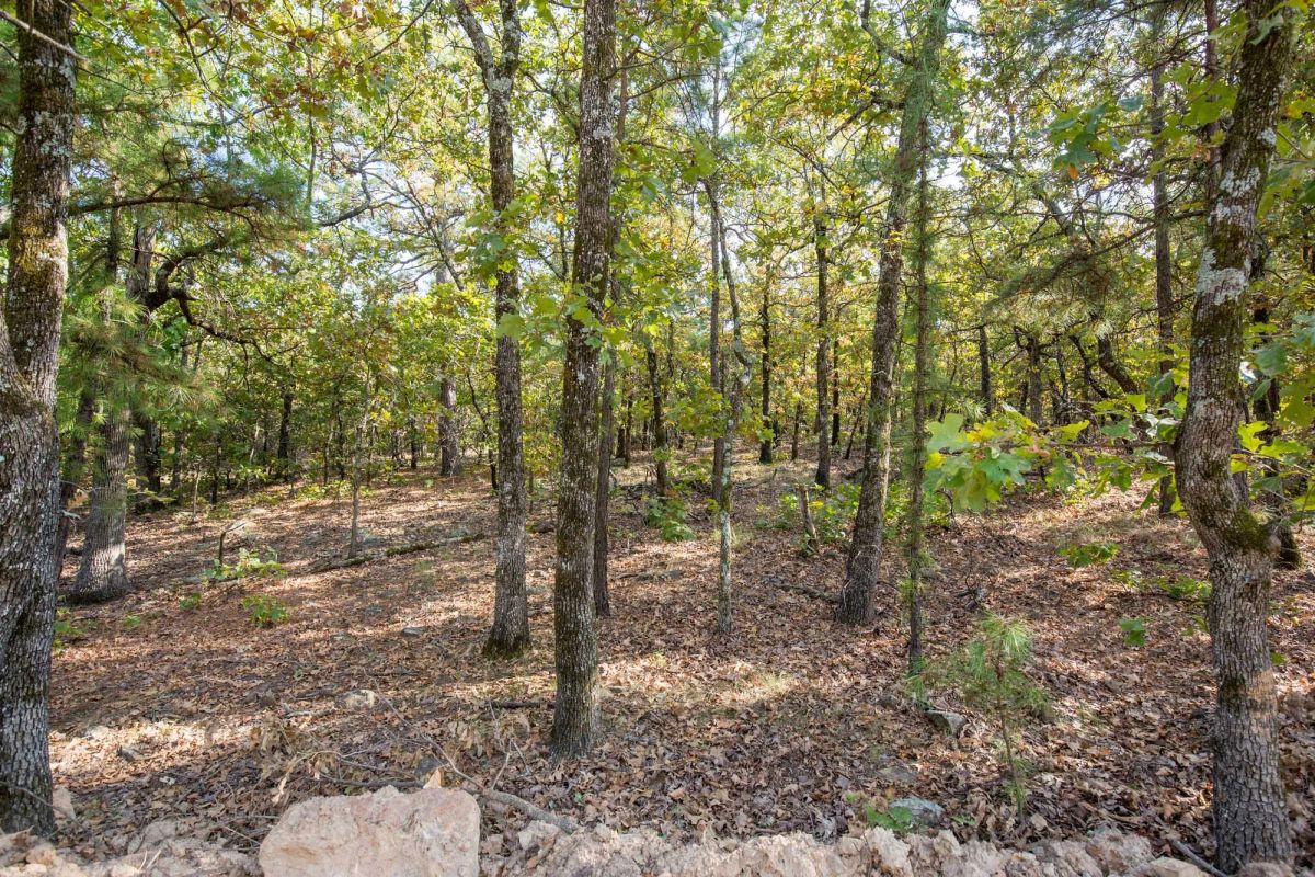 Decorative background for Stone Bridge Phase I Tract 55 image 8